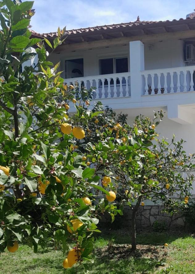 Helen Apartments Λούκοβο Εξωτερικό φωτογραφία