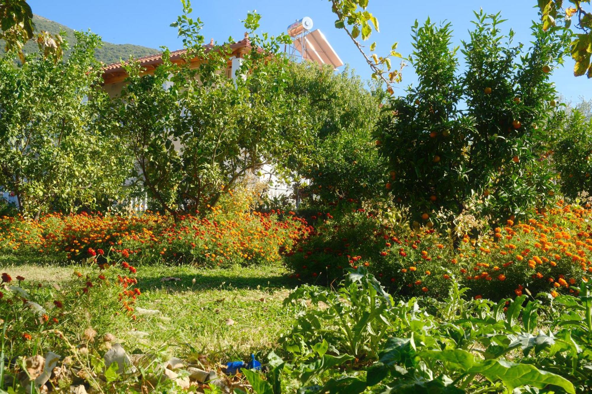 Helen Apartments Λούκοβο Εξωτερικό φωτογραφία